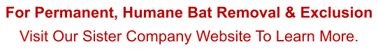 For Permanent, Humane Bat Removal & Exclusion Visit Our Sister Company Website To Learn More.